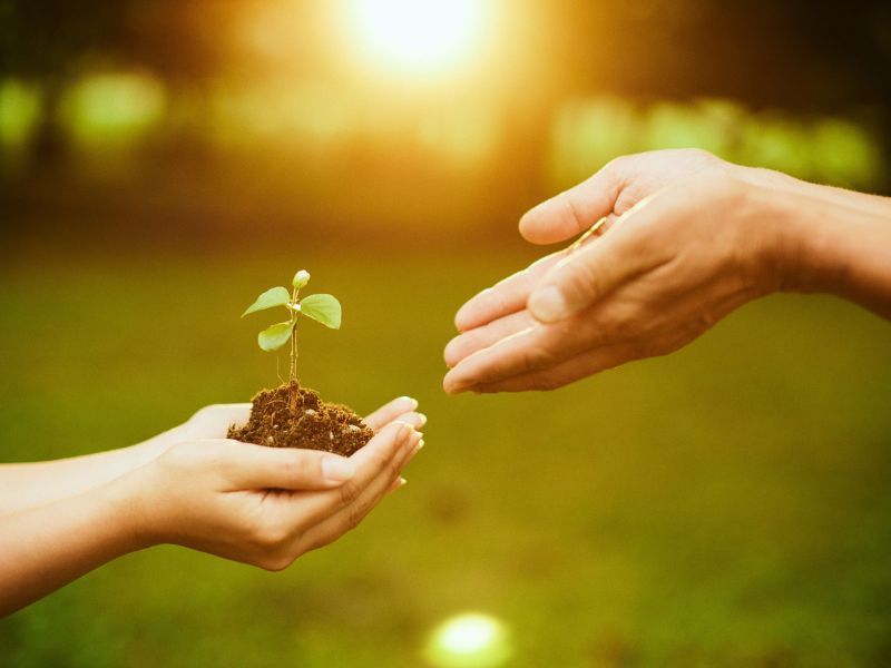 Professional Educationally Related Intensive Counseling