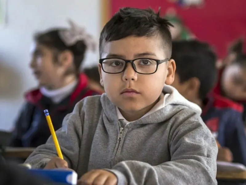 Neuroeducational Evaluations Services
