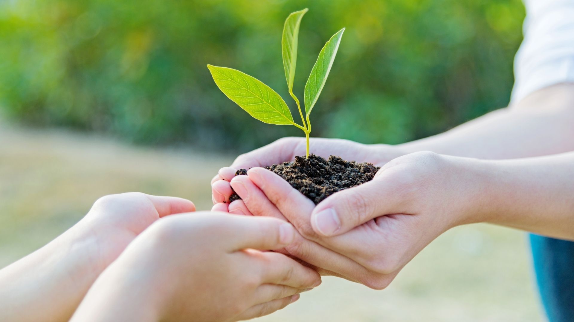 Holistic Psychological Methods